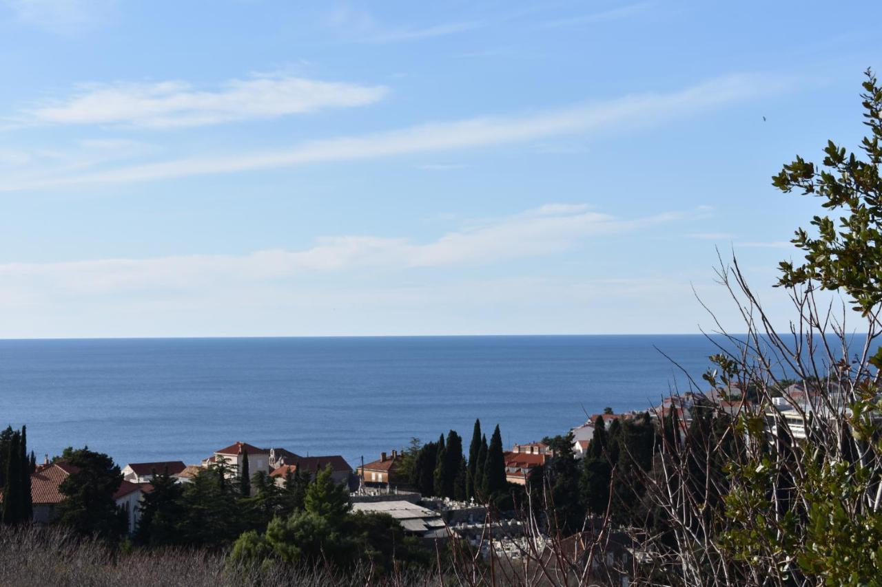Marlin Blue * Dubrovnik